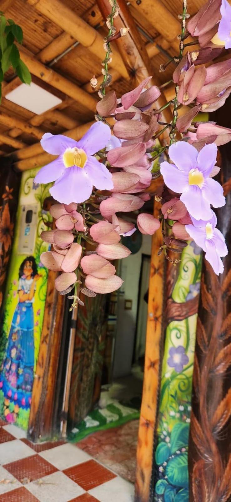 Tatacoa Star Eco Hotel วิลญาเวียคา ภายนอก รูปภาพ